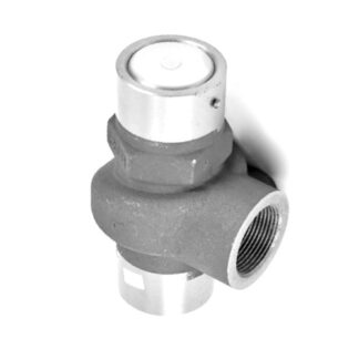 Elgi Minimum Pressure Valve Assembly B009305770001