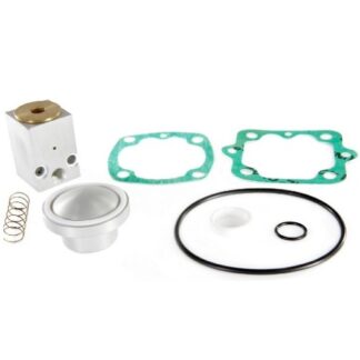 Ceccato Intake/Suction Valve Kit # 2200900943