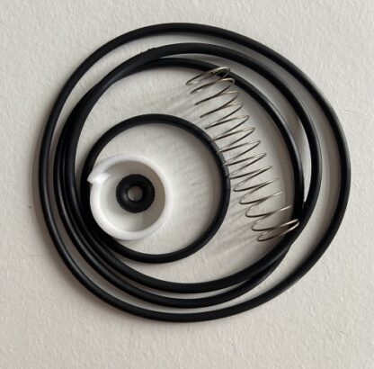 Intake Valve Kit 600.5280